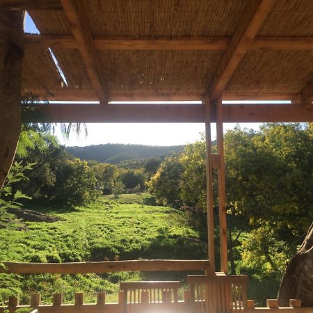 Au Paradis Des Campeurs レ・ズィサンブル エクステリア 写真